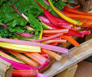 Beta vulgaris (acelga) Celebration F1