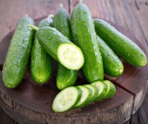 Cucumis sativus (Concombre) Beth Alpha