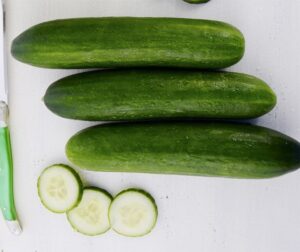 Cucumis sativus (Concombre) Tessa F1