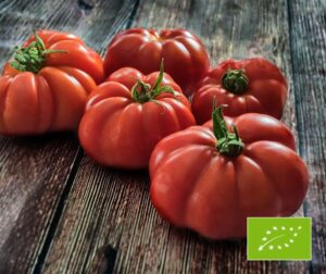 Tomat (Solanum lycopersicum) RAF BIO