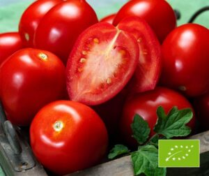 Tomate (Solanum lycopersicum) Rio Largo BIO